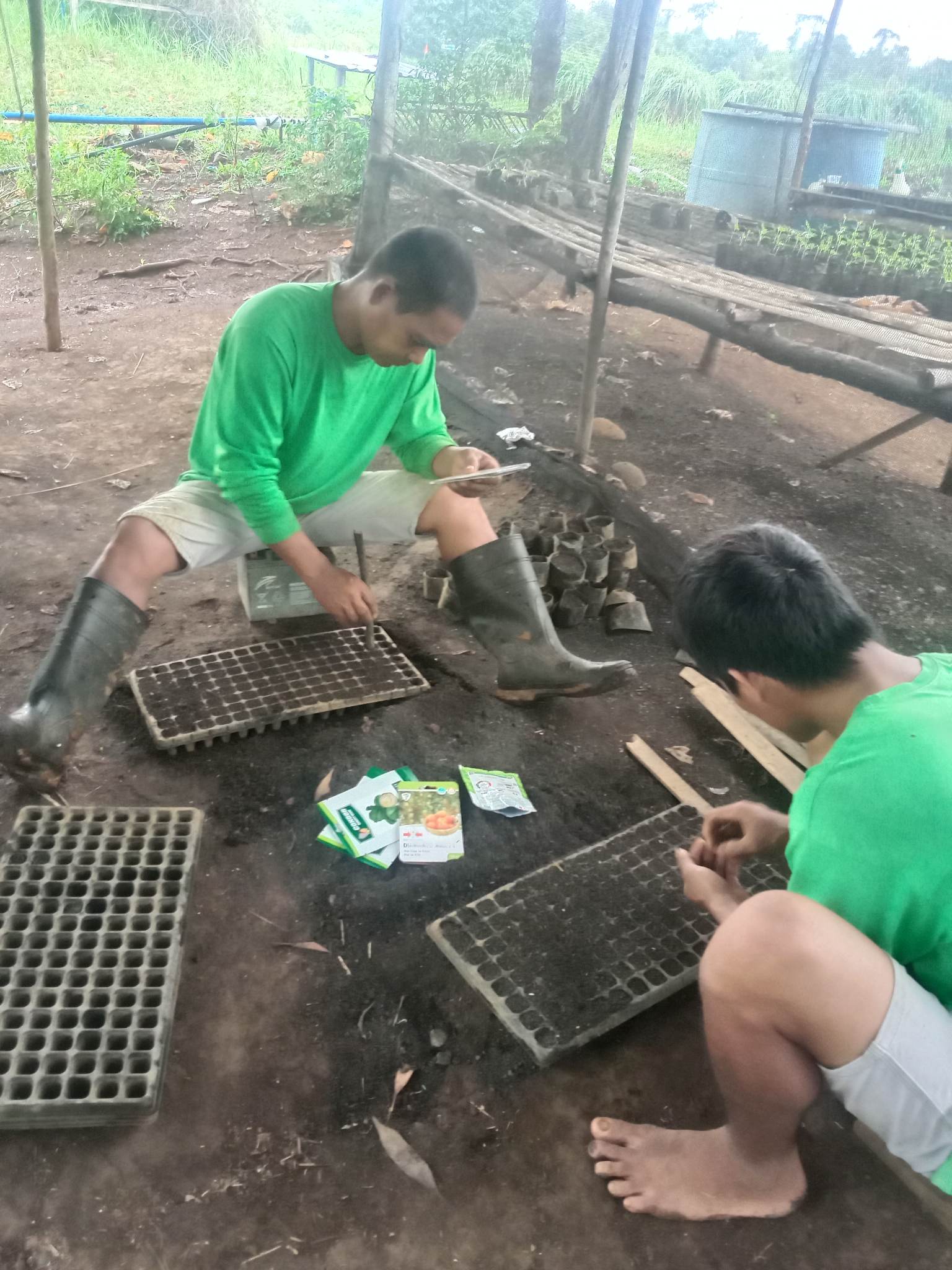 A Day in the Farm (Planting Seeds)