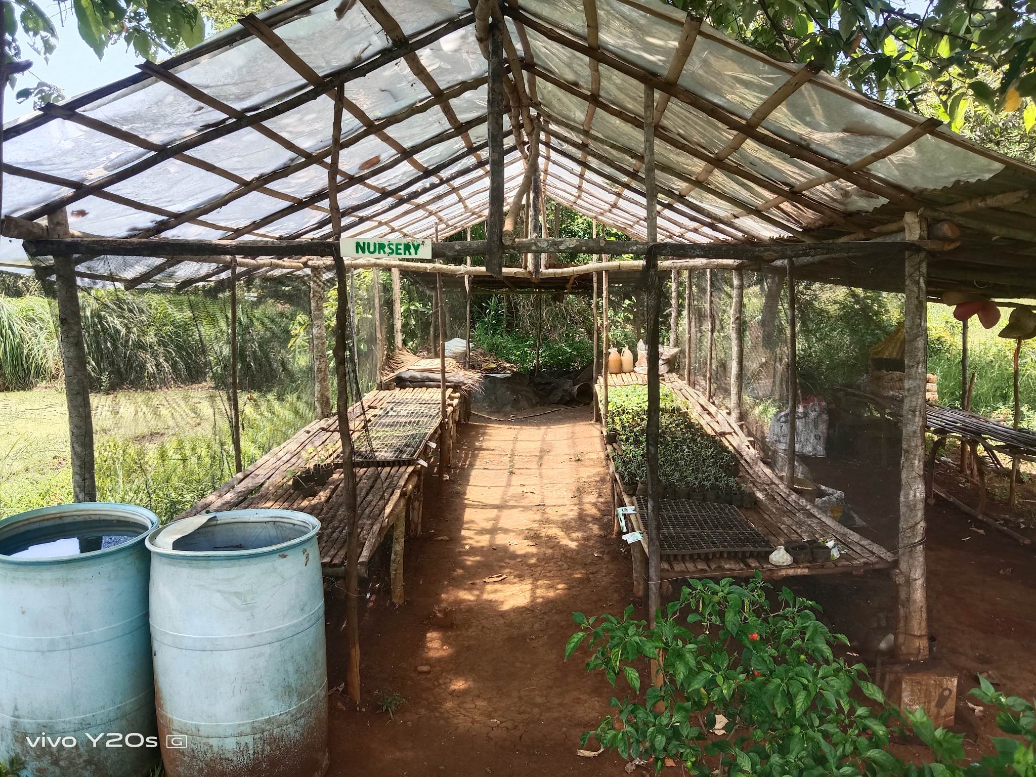 A Day in the Farm (Nursery Section)
